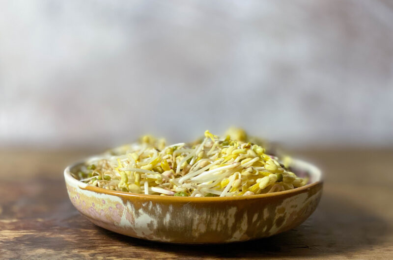 Grow your own bean sprouts - the best superfood comes from your own kitchen!